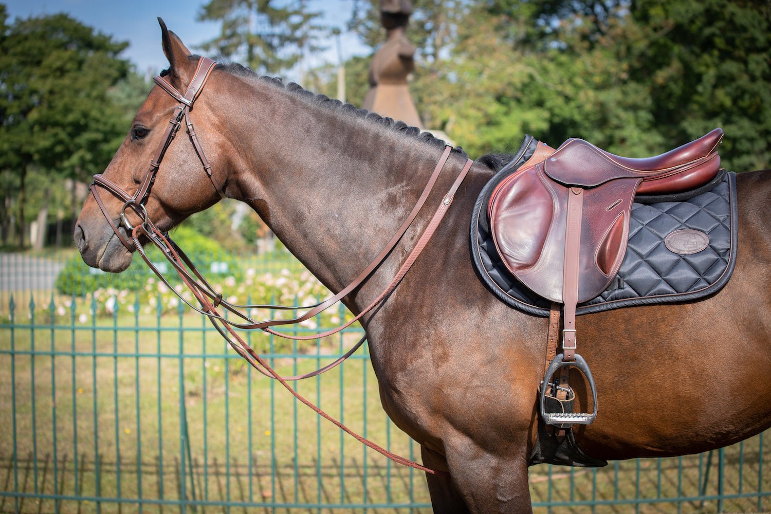 HENRY equestrian - Jump'In - Γερμανικά ηνία One - μαύρο
