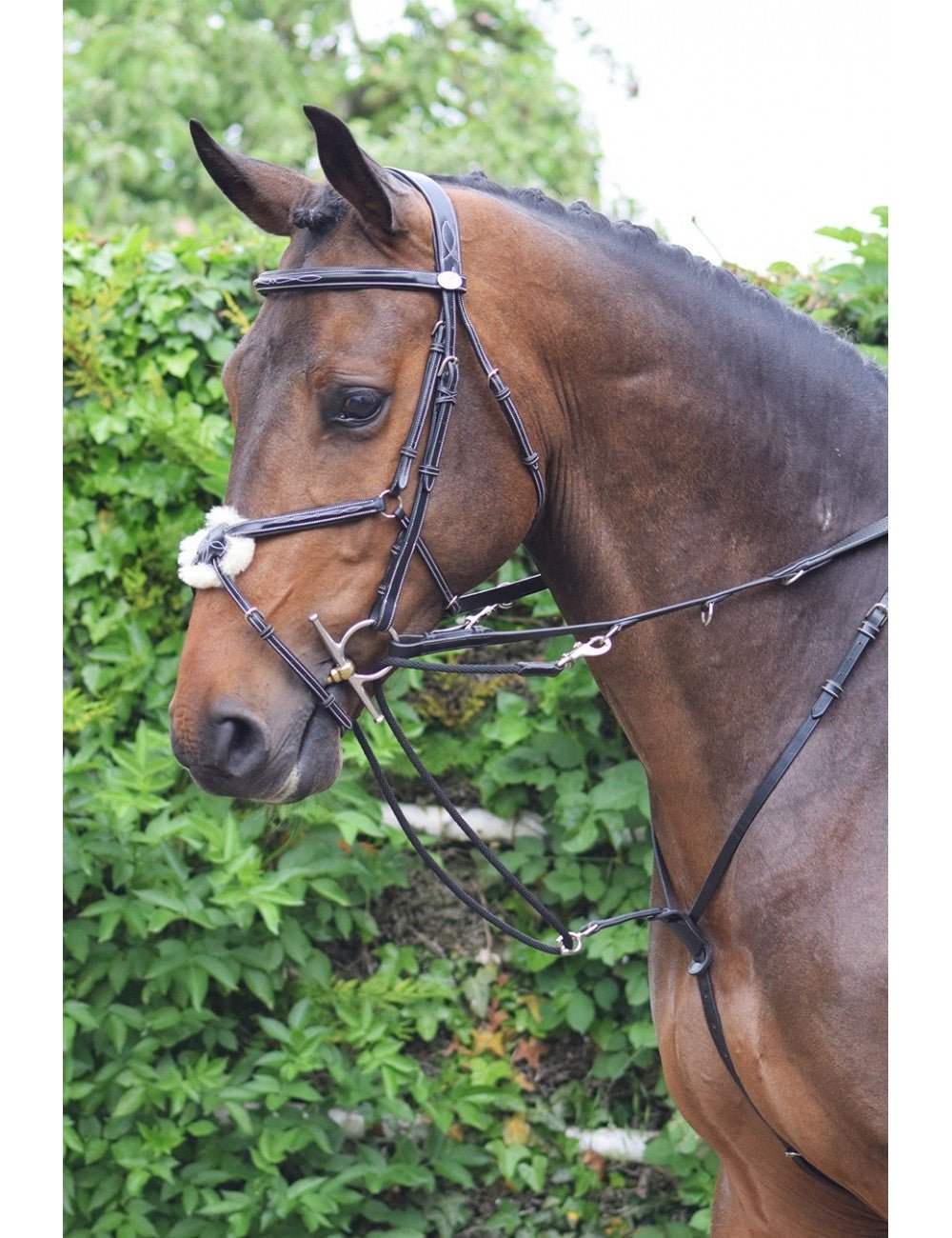 HENRY equestrian - Jump’In - Howlett Week μαύρο