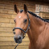 HENRY equestrian - Jump'In - Καπίστρι One Grooming καφέ