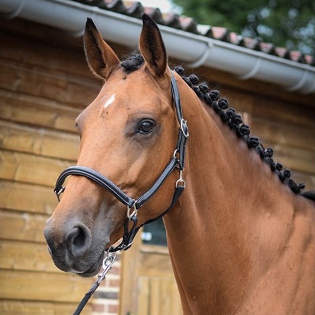 HENRY equestrian - Jump'In - Καπίστρι One Grooming καφέ
