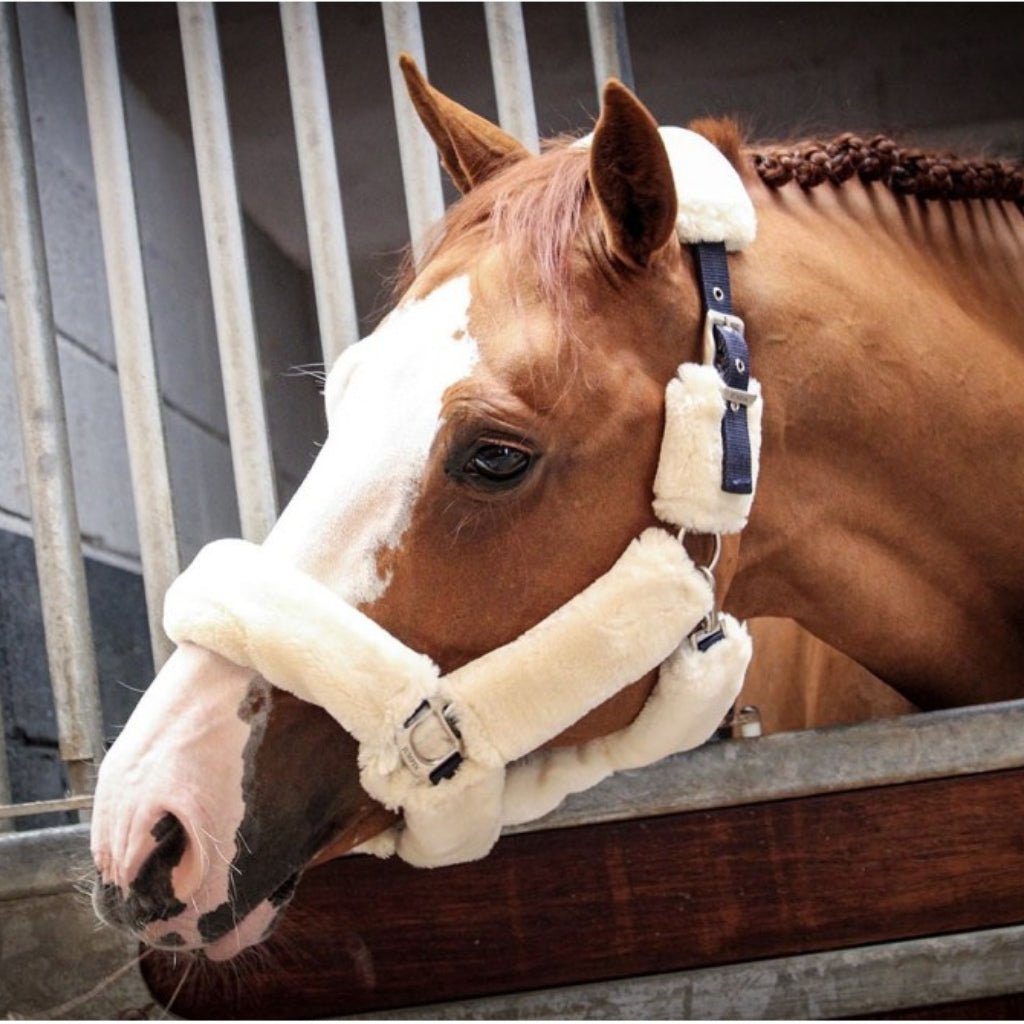 HENRY equestrian - Jump'In - Καπίστρι One Soft