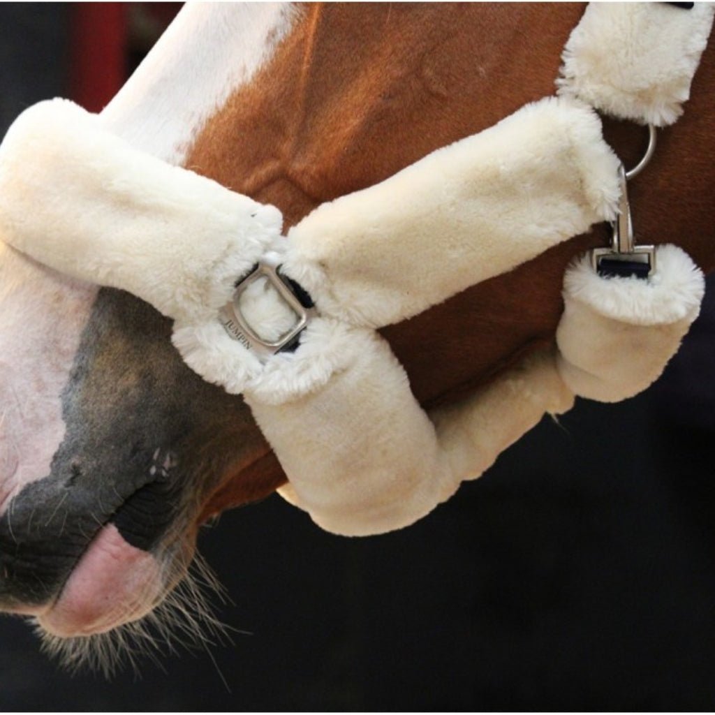 HENRY equestrian - Jump'In - Καπίστρι One Soft