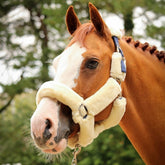 HENRY equestrian - Jump'In - Καπίστρι One Soft