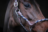 HENRY equestrian - Jump'In - Καπίστρι One Travel καφέ