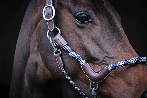 HENRY equestrian - Jump'In - Καπίστρι One Travel καφέ