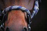 HENRY equestrian - Jump'In - Καπίστρι One Travel μαύρο