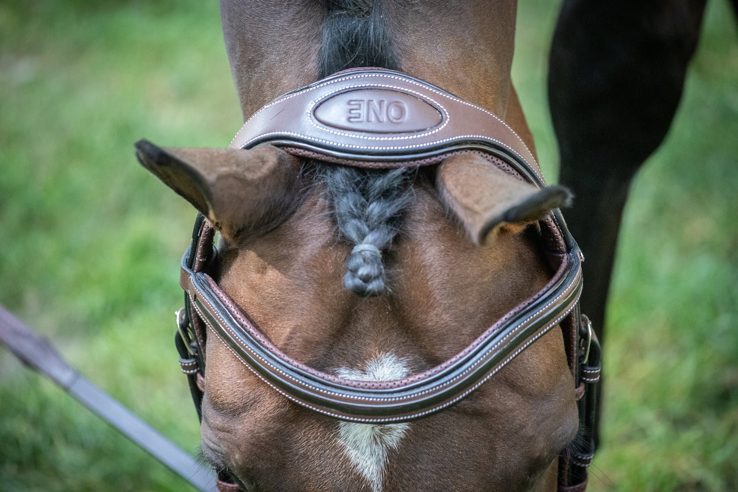 HENRY equestrian - Jump'In - Χαλινάρι Manhattan καφέ