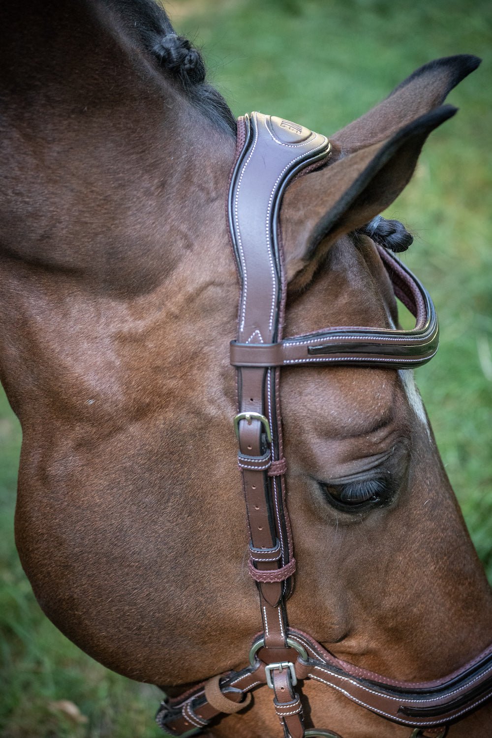 HENRY equestrian - Jump'In - Χαλινάρι Manhattan καφέ