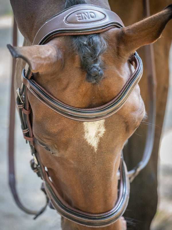 HENRY equestrian - Jump'In - Χαλινάρι Manhattan καφέ
