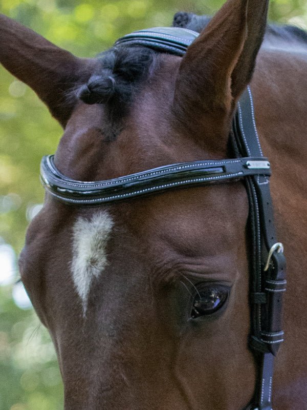 HENRY equestrian - Jump'In - Χαλινάρι Manhattan μαύρο