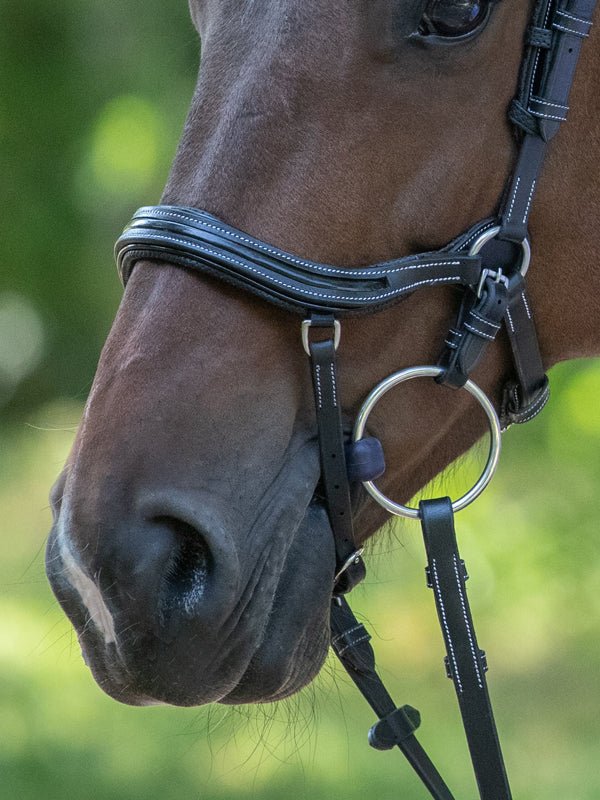 HENRY equestrian - Jump'In - Χαλινάρι Manhattan μαύρο