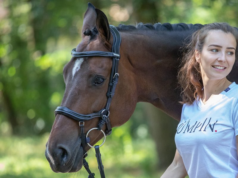 HENRY equestrian - Jump'In - Χαλινάρι Manhattan μαύρο