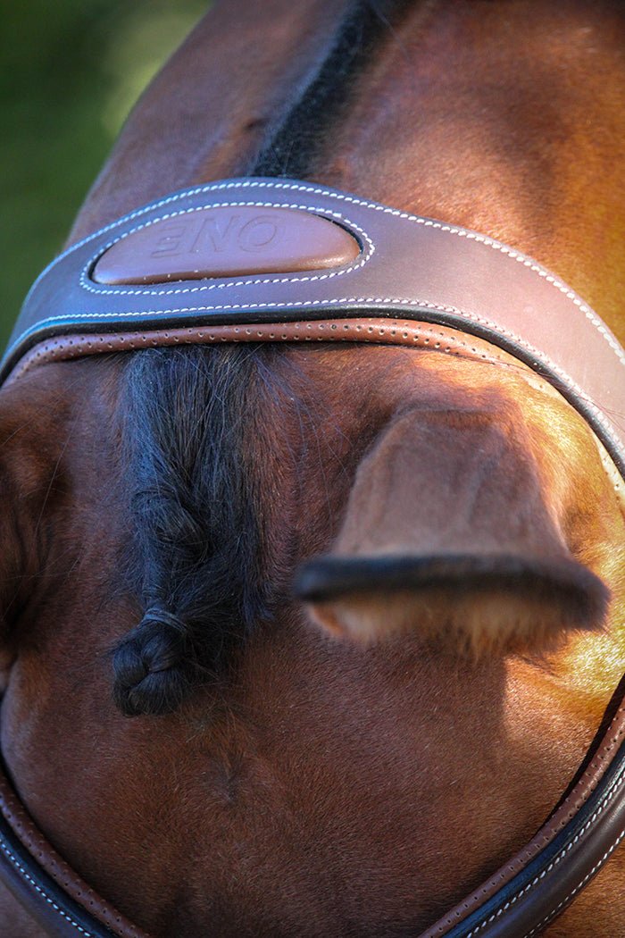HENRY equestrian - Jump'In- Χαλινάρι New-York καφέ