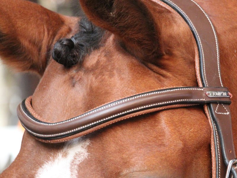 HENRY equestrian - Jump'In- Χαλινάρι New-York καφέ