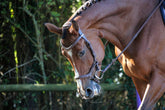 HENRY equestrian - Jump'In- Χαλινάρι New-York καφέ