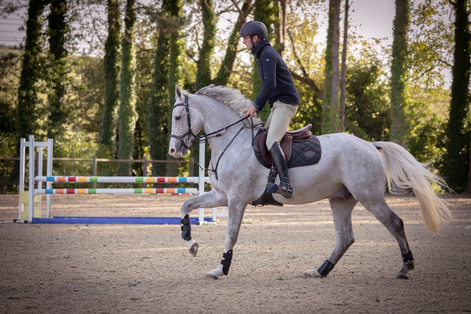 HENRY equestrian - Jump'In - Χαλινάρι New-York μαύρο