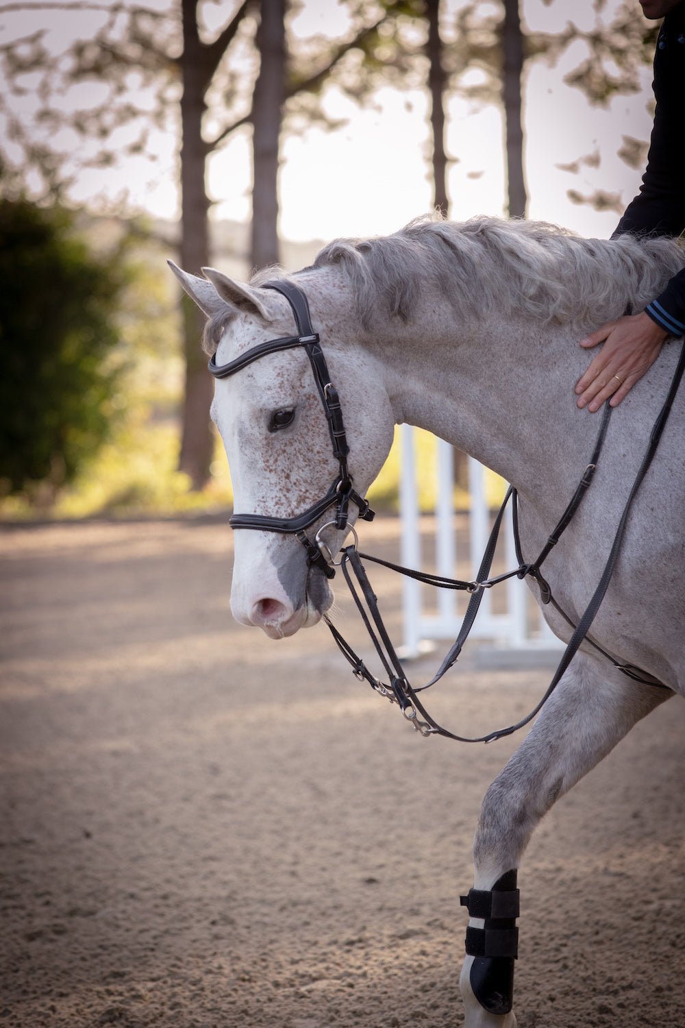 HENRY equestrian - Jump'In - Χαλινάρι New-York μαύρο