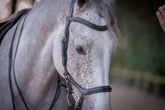 HENRY equestrian - Jump'In - Χαλινάρι New-York μαύρο