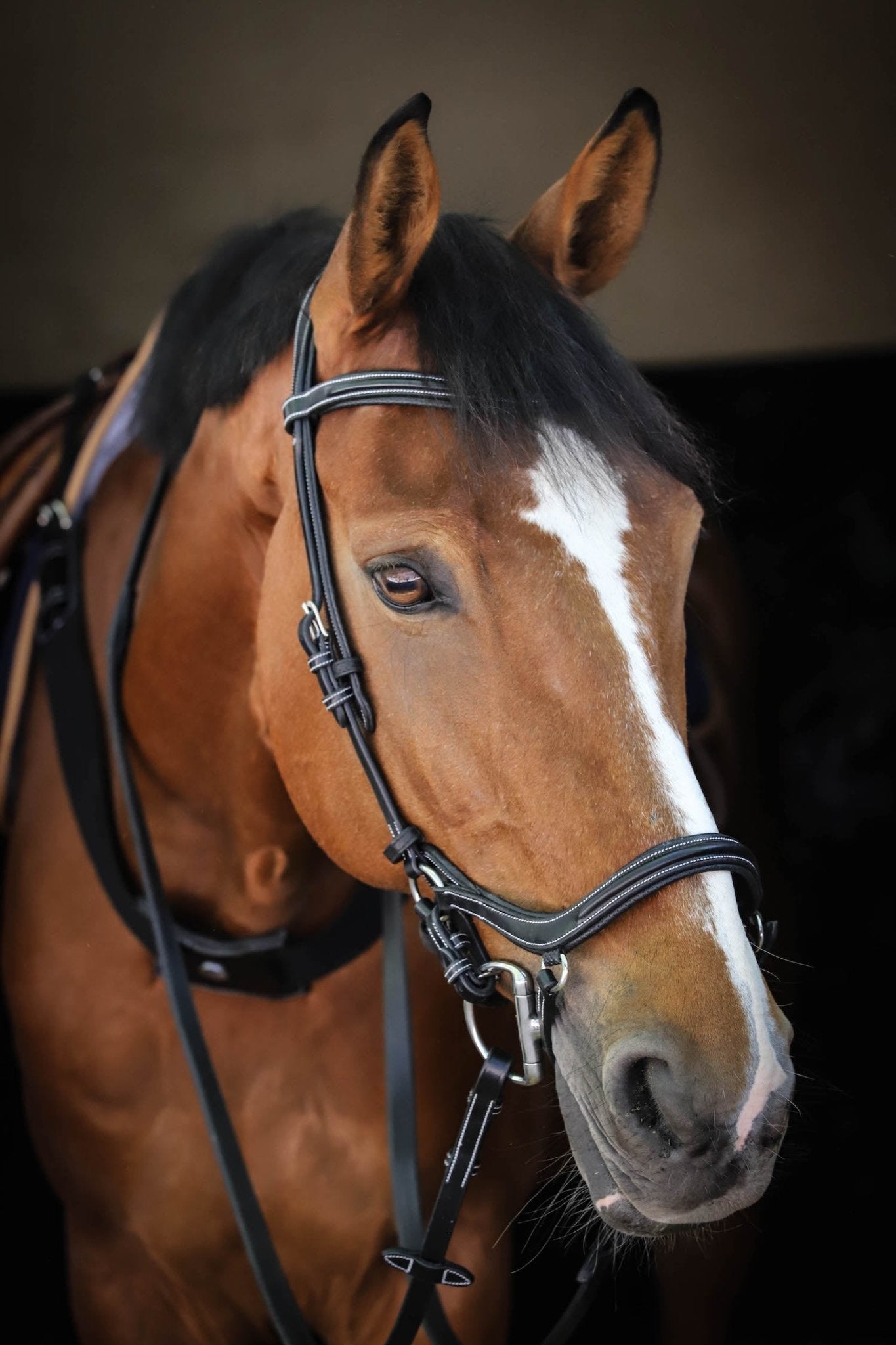 HENRY equestrian - Jump'In - Χαλινάρι New-York μαύρο