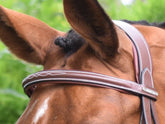 HENRY equestrian - Jump'In - Χαλινάρι Paris καφέ