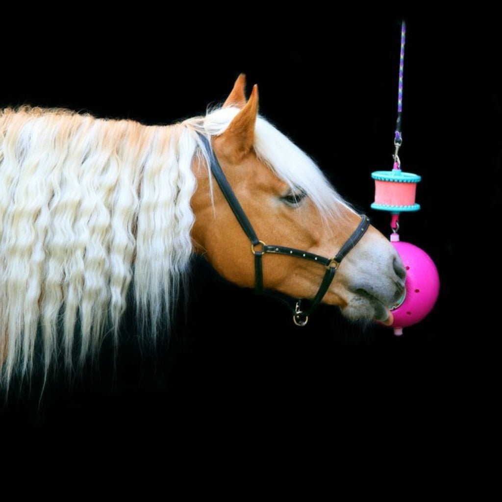 HENRY equestrian - Likit - Διασκέδαση κάτοχος γλειφιτζούρι Likit boredom breaker - κόκκινο