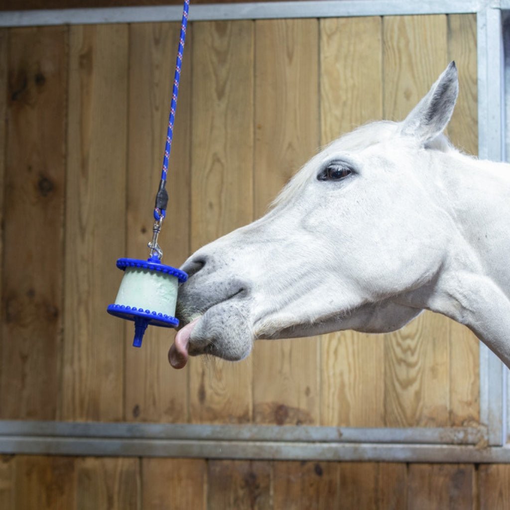 HENRY equestrian - Likit - Διασκέδαση κάτοχος γλειφιτζούρι Likit - κόκκινο