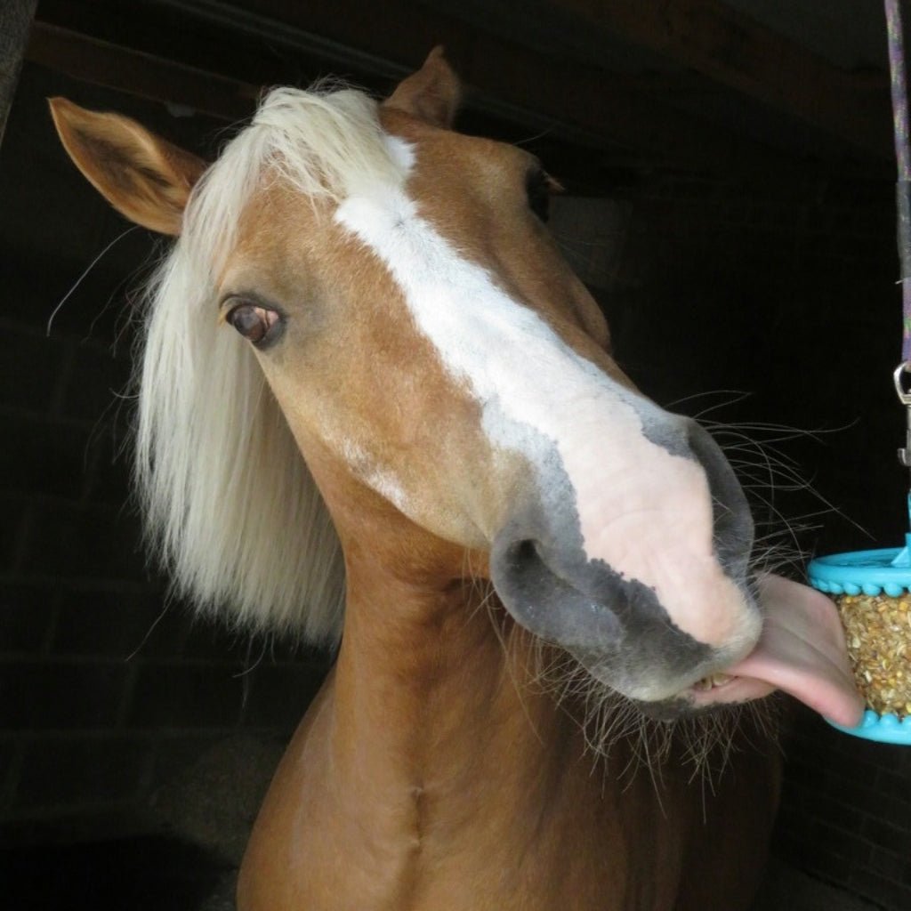 HENRY equestrian - Likit - Γλειφιτζούρι για παιχνίδι Likit - Granola Apple 550 gr