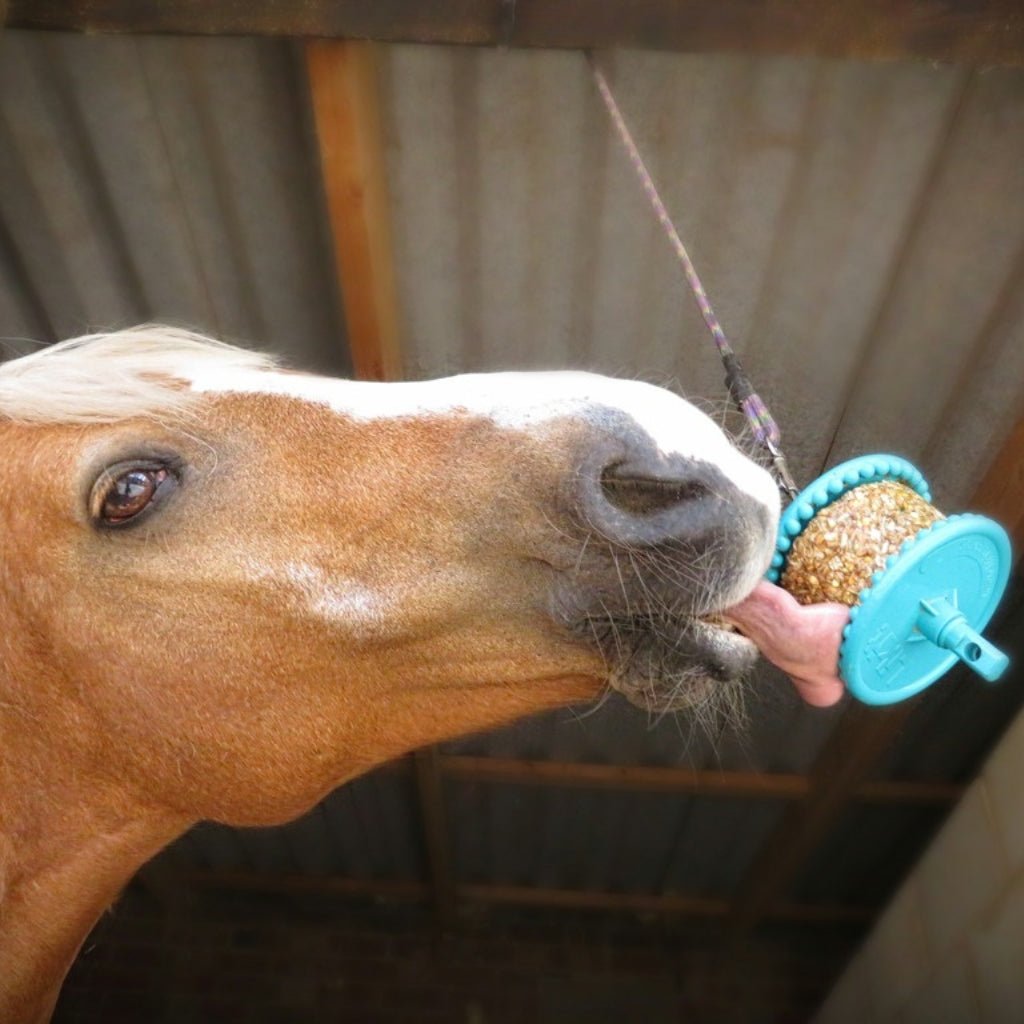 HENRY equestrian - Likit - Γλειφιτζούρι για παιχνίδι Likit - Granola Apple 550 gr