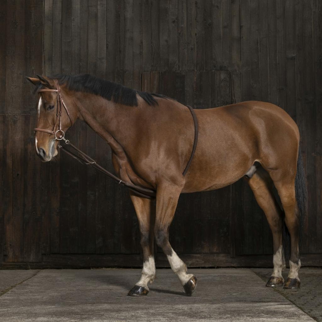 HENRY equestrian - NORTON - Απαλό σχοινί επέκτασης - navy
