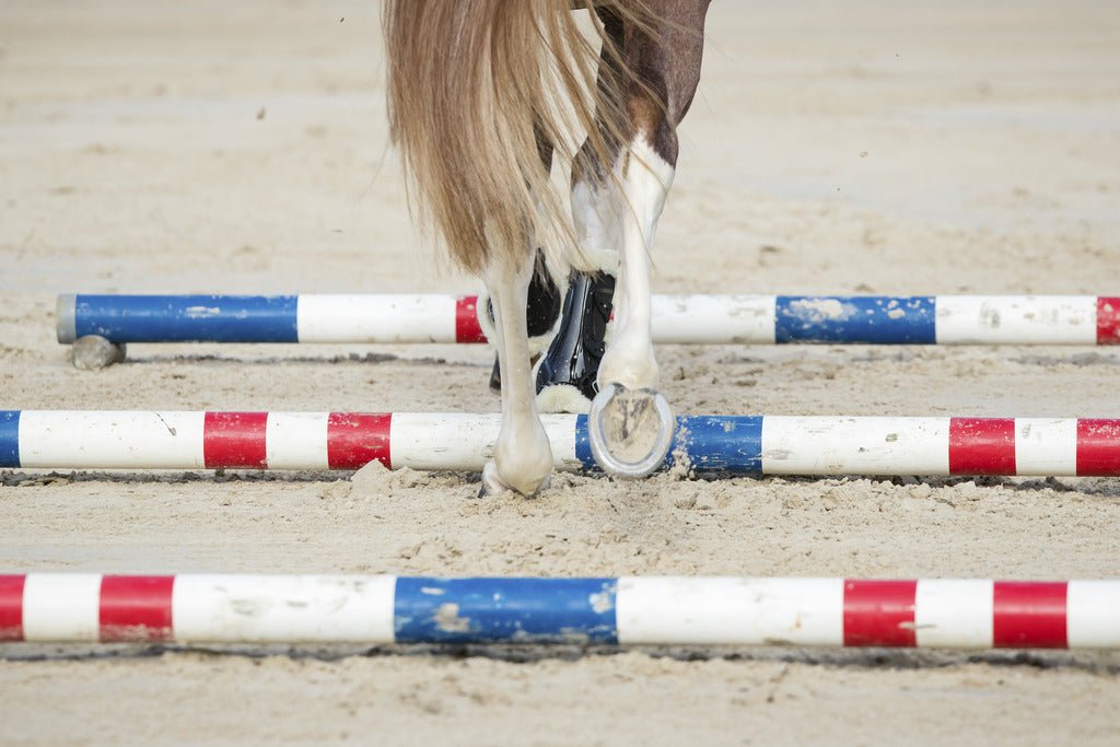 HENRY equestrian - Norton - Μπροστινές γκέτες με κουμπιά και γούνα XTR full καφέ