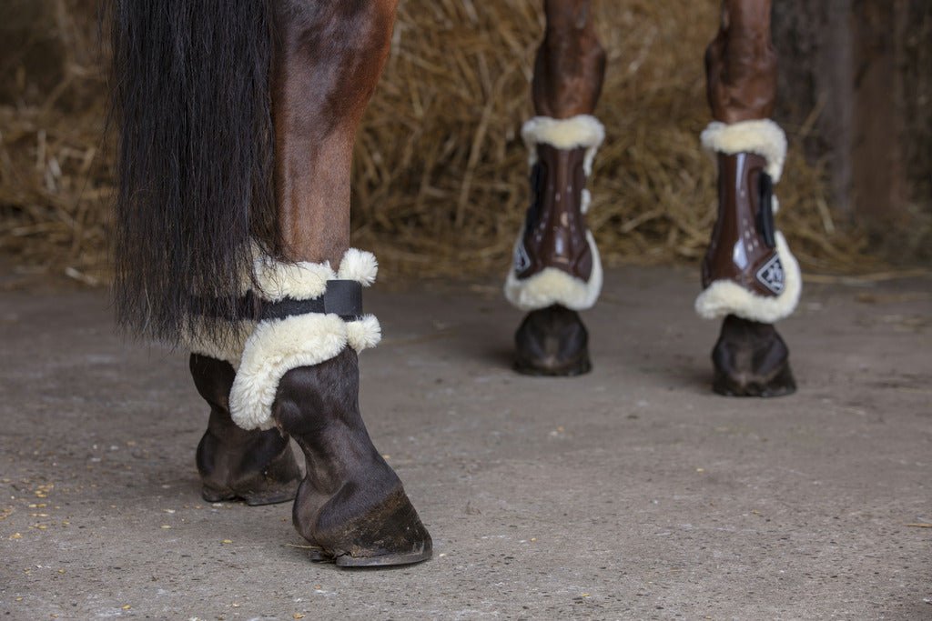 HENRY equestrian - Norton - Πίσω γκέτες με γούνα XTR full καφέ