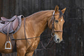 HENRY equestrian - Norton - Ρυθμιζόμενο ελαστικό λουρί - elastic training reins
