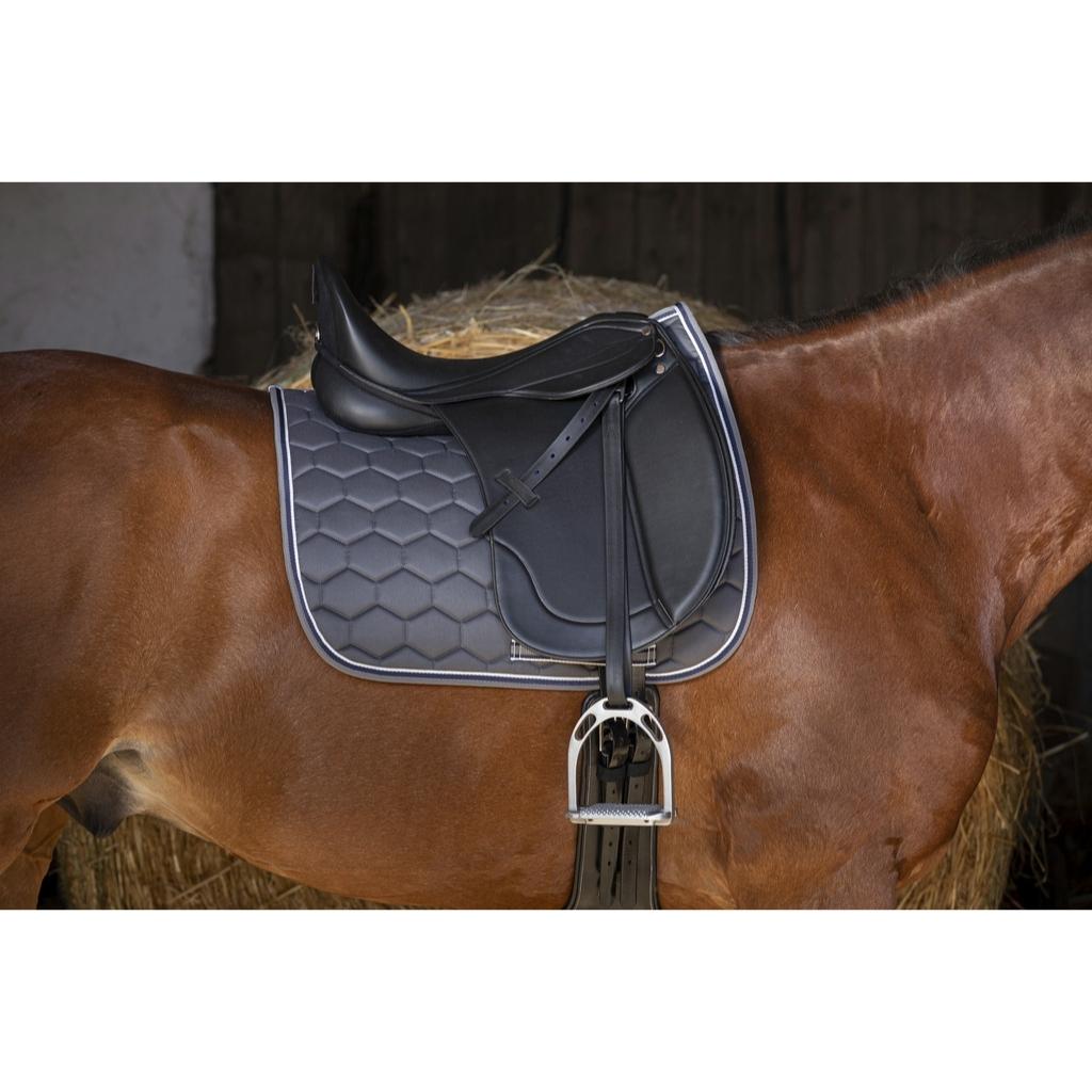 HENRY equestrian - Norton - Σέλα "Rexine Evol" dressage - μαύρο
