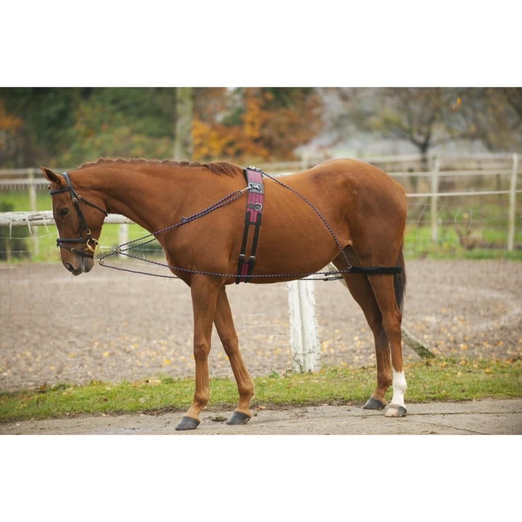 HENRY equestrian - NORTON - Σύστημα Εκπαίδευσης Συραγωγέα "Pessoa"