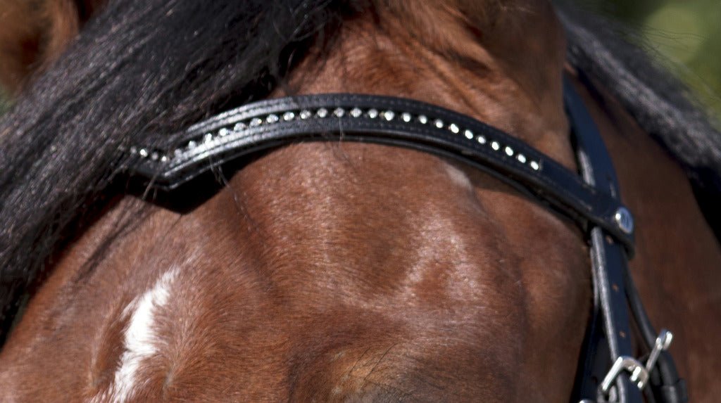 HENRY equestrian - Norton - Χαλινό Club V καφέ