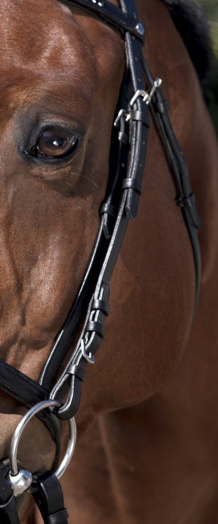 HENRY equestrian - Norton - Χαλινό Club V καφέ