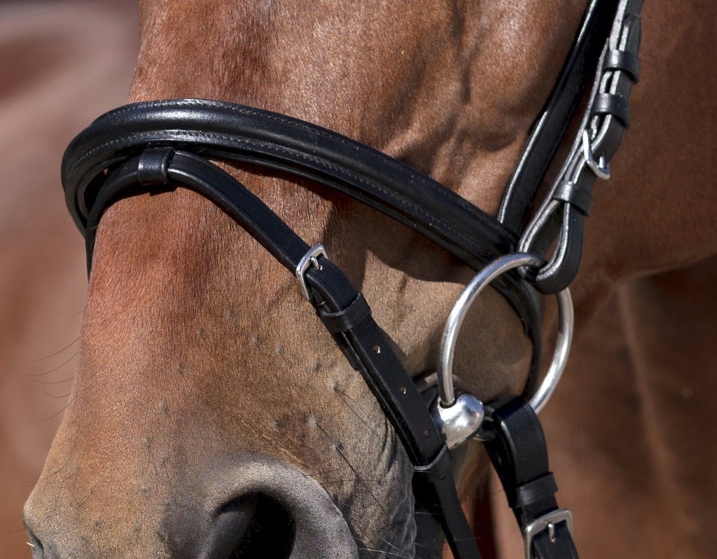 HENRY equestrian - Norton - Χαλινό Club V καφέ