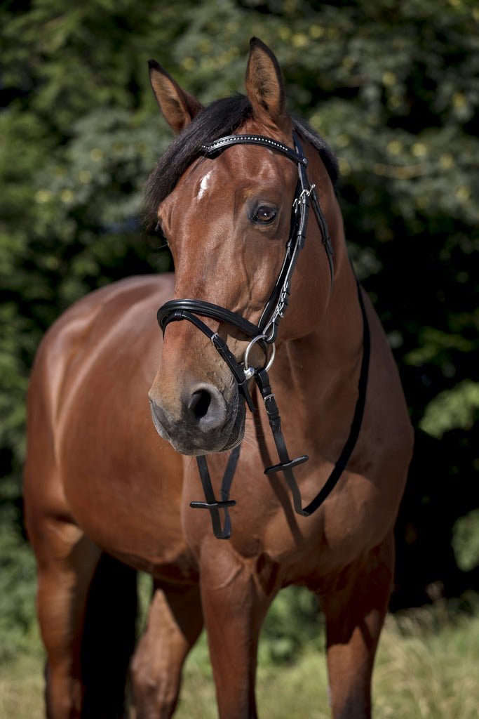 HENRY equestrian - Norton - Χαλινό Club V καφέ