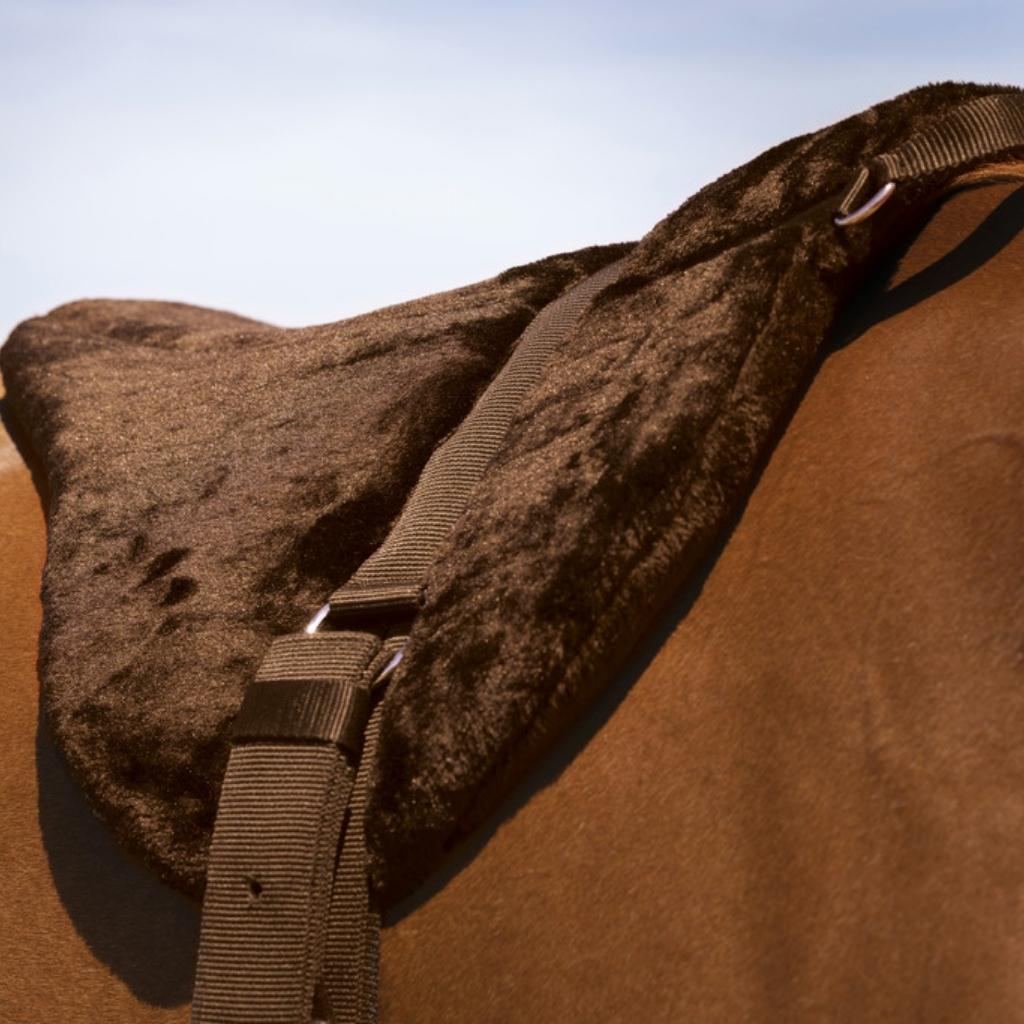 HENRY equestrian - Norton - Υπόσαγμα ίππευσης χωρίς σέλα "Confort" - καφέ