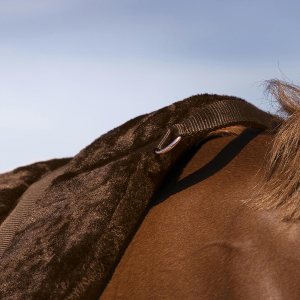HENRY equestrian - Norton - Υπόσαγμα ίππευσης χωρίς σέλα "Confort" - καφέ