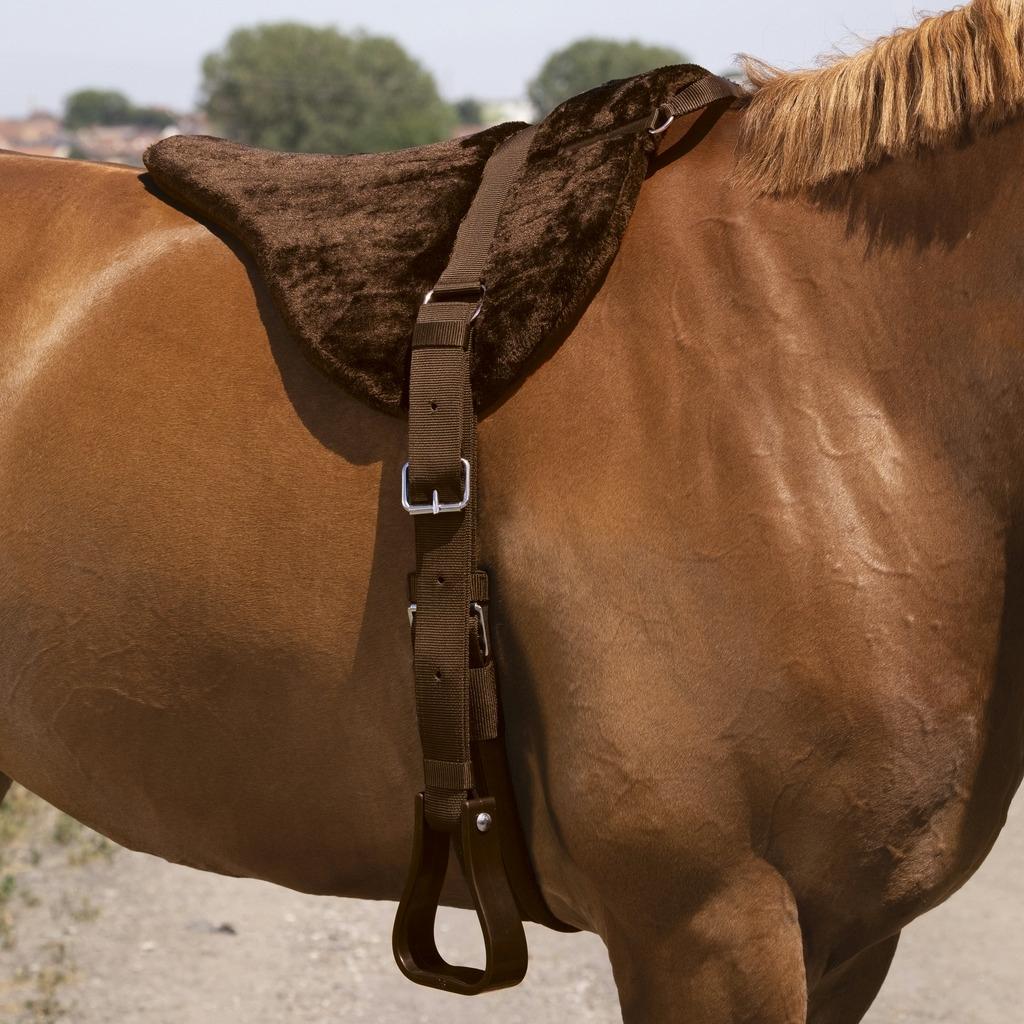 HENRY equestrian - Norton - Υπόσαγμα ίππευσης χωρίς σέλα "Confort" - καφέ