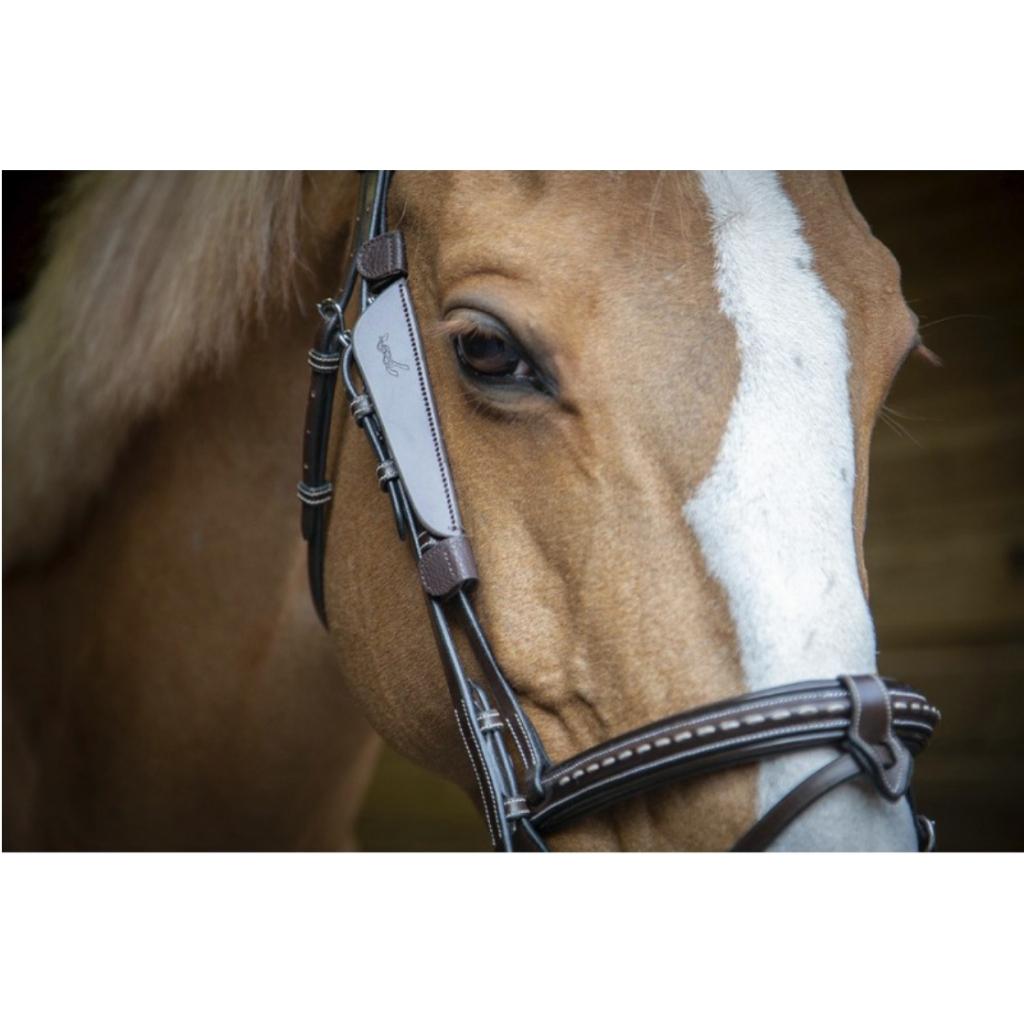 HENRY equestrian - Penelope Store - Blink Blinker καφέ