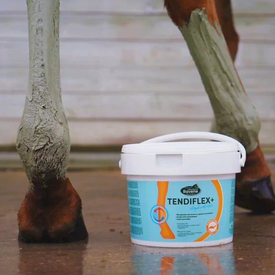 HENRY equestrian - Ravene - Δροσιστικός και καταπραϋντικός πηλός Tendiflex + clay 4 kg
