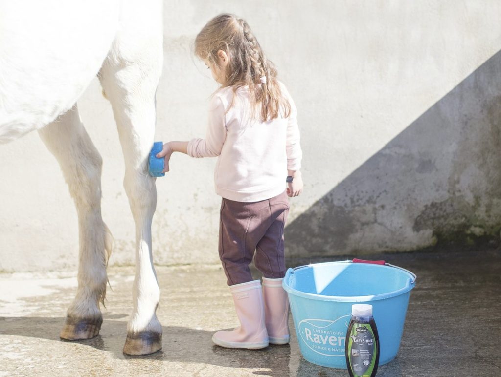 HENRY equestrian - Ravene - Σαμπουάν για γκρι άλογα Easy Shine 500 ml