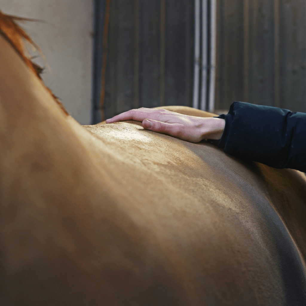 HENRY equestrian - Ravene - Χαλαρωτικό και καταπραϋντικό τζελ μασάζ Kinesyl 250 ml