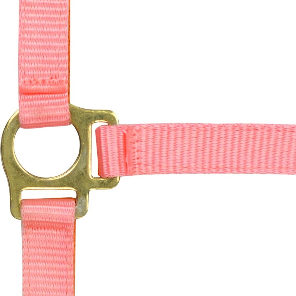 HENRY equestrian - Riding World - Καπίστρι foal pink