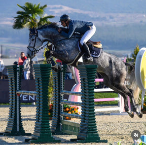 HENRY equestrian - Harcour + HENRY equestrian - Υπόσαγμα Soft navy