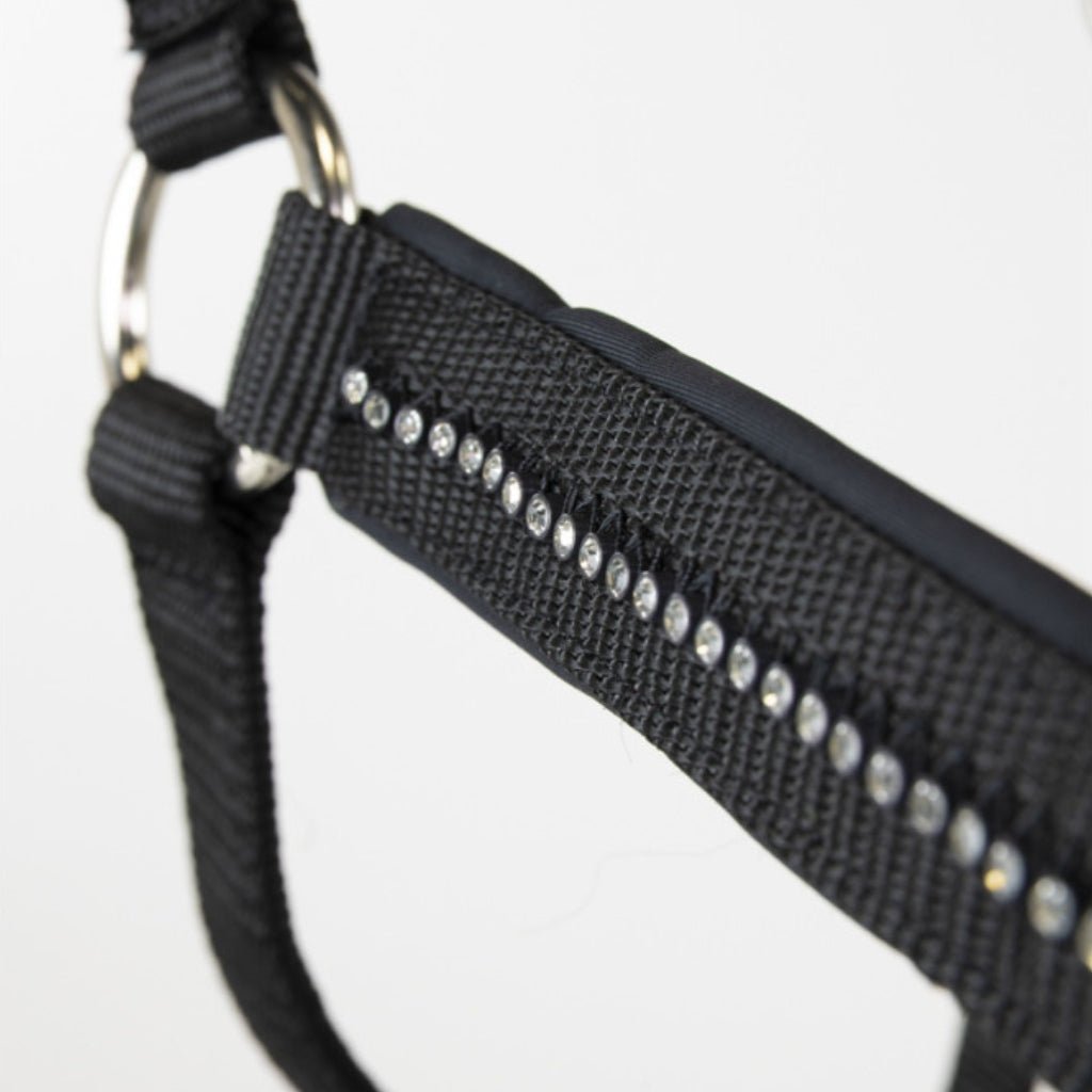 HENRY equestrian - Harcour - Σετ Καπίστρι & Σχοινί “Amour” – Black