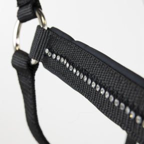 HENRY equestrian - Harcour - Σετ Καπίστρι & Σχοινί “Amour” – Black