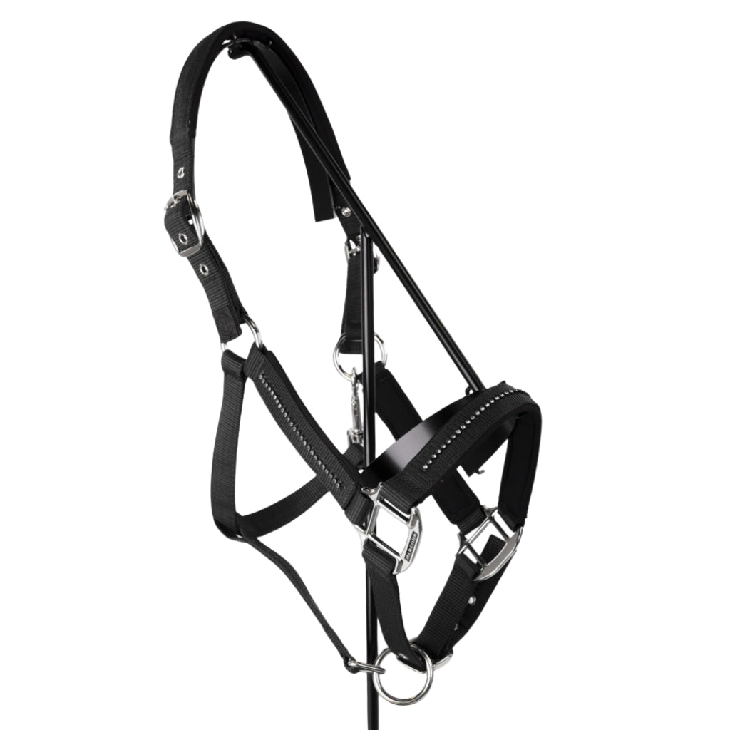 HENRY equestrian - Harcour - Σετ Καπίστρι & Σχοινί “Amour” – Black